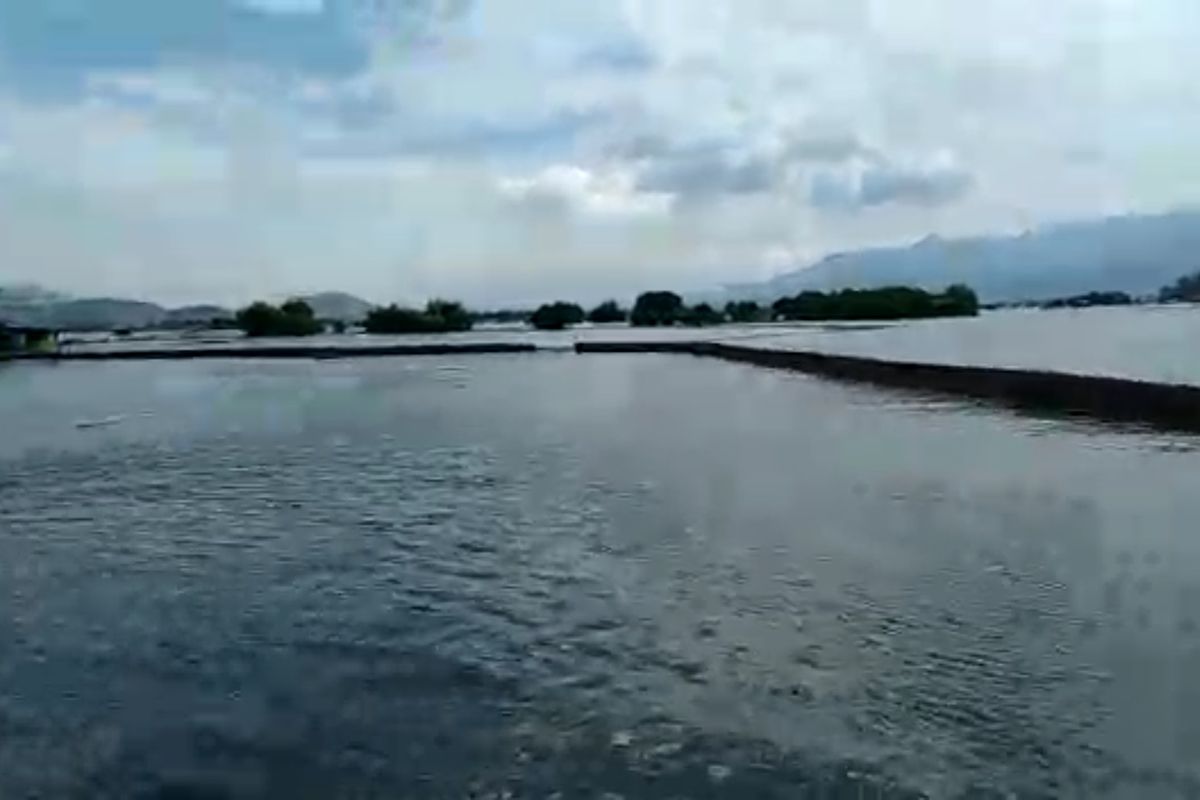 Puluhan Hektar